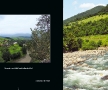 rdjr-008