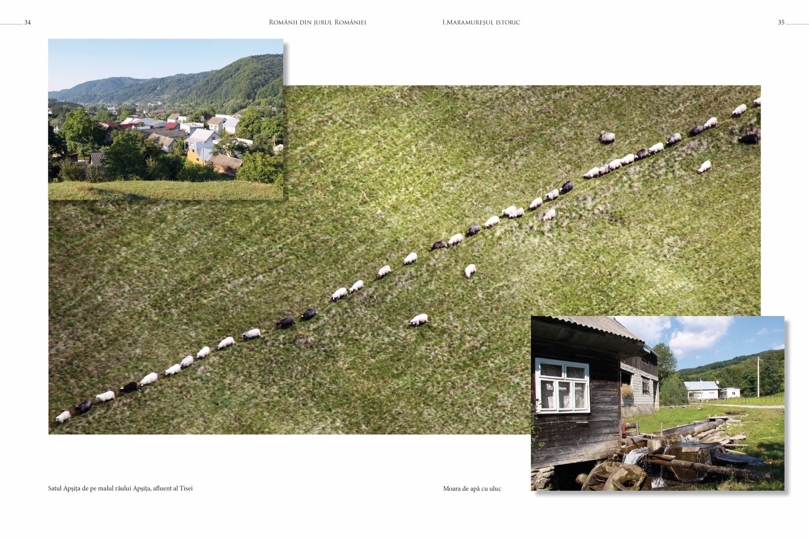 soimaru-2014-tipografie18-Large