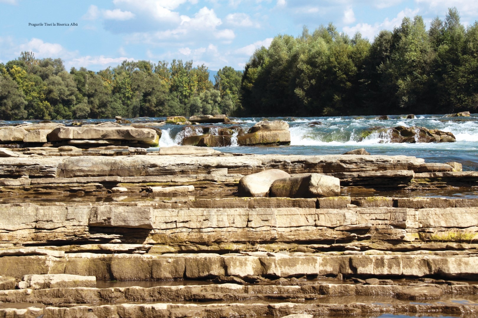 soimaru-2014-tipografie23-Large