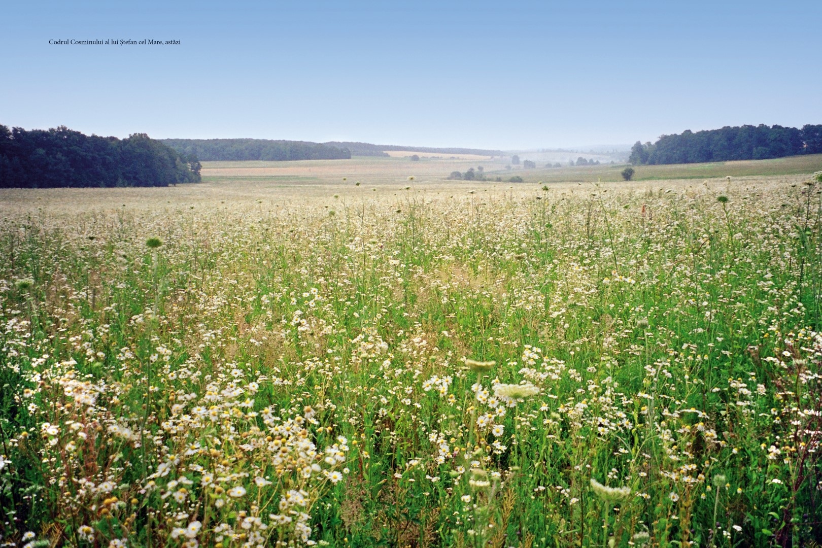 soimaru-2014-tipografie43-Large