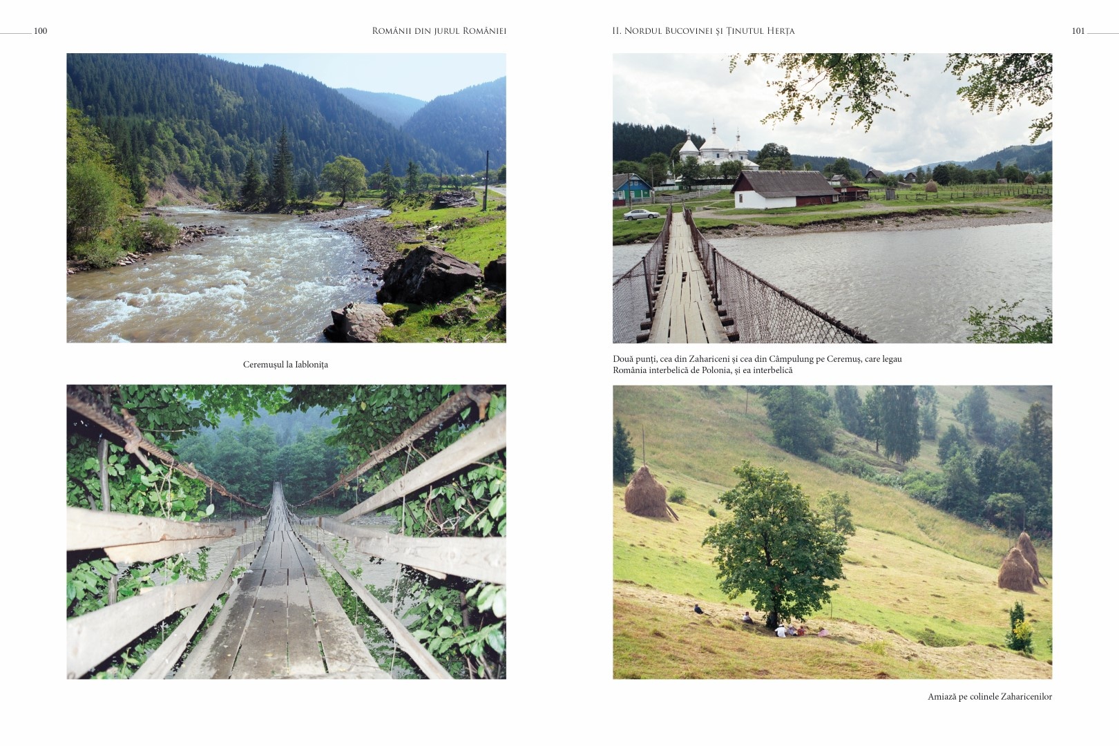 soimaru-2014-tipografie51-Large