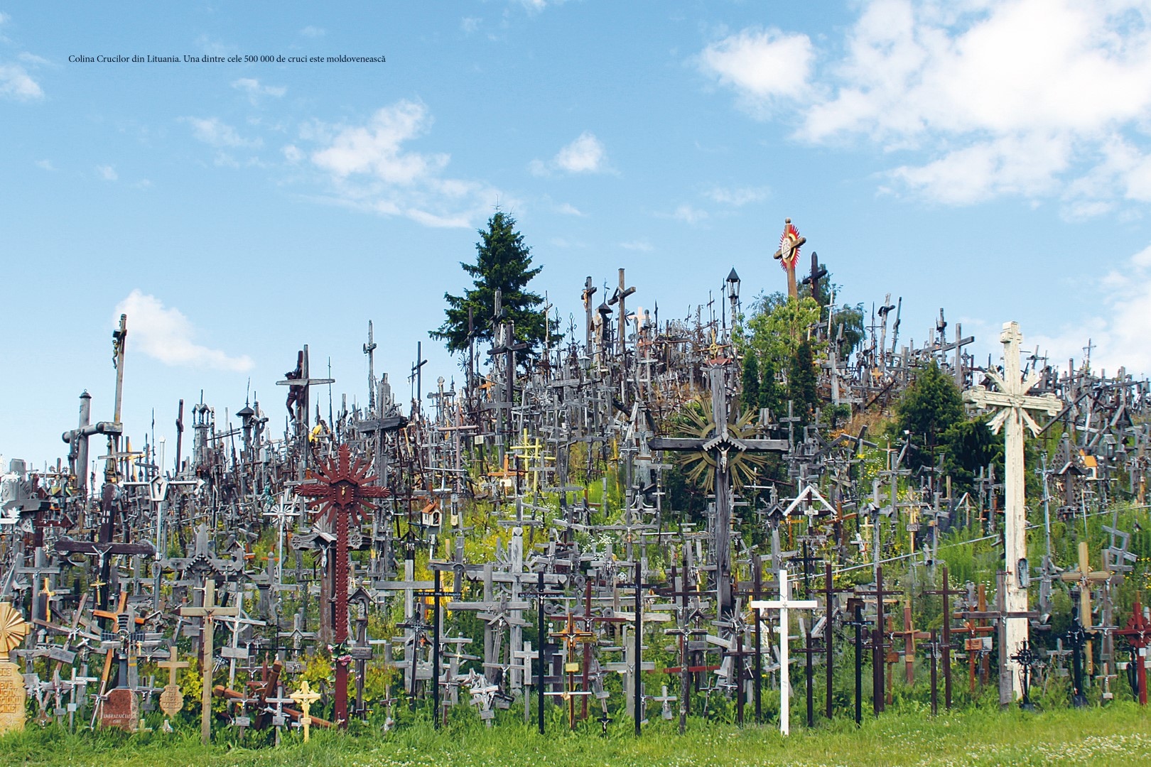 soimaru-2014-tipografie163-Large