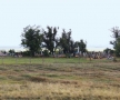 23-cotul-donului-foste-cimitire-romanesti-ievstratovski