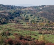 Partea de nord, de peste deal, a satului Sinești, numită „La Făgețel”, de unde izvorăște Ichelul