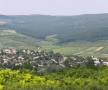 Valea Ichelului la Hârbovăț, Răciula, Frumoasa, Bravicea, Țigănești, Onești, Codreanca...