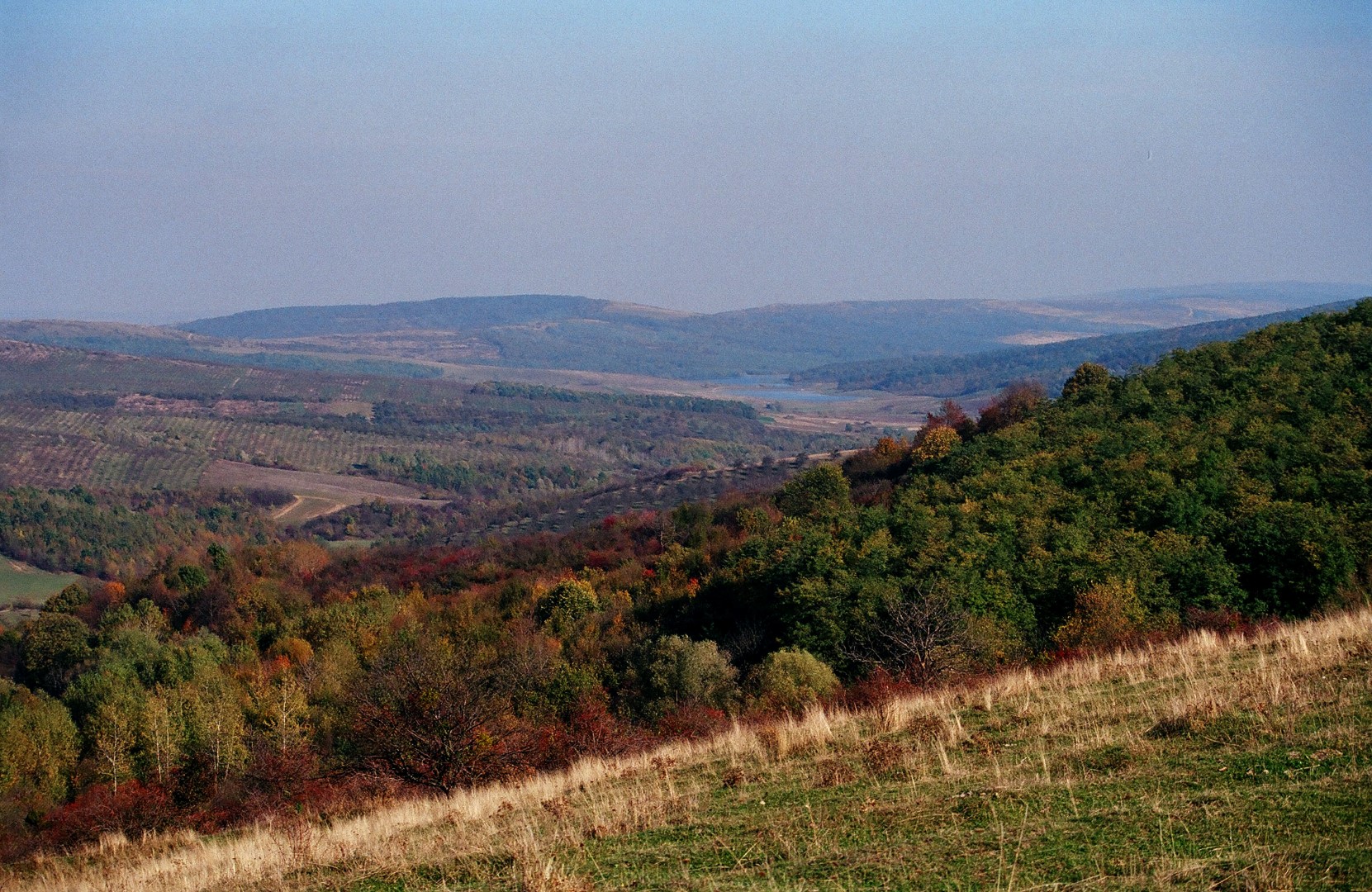 Valea Ichelului văzută de pe dealul Cupcii
