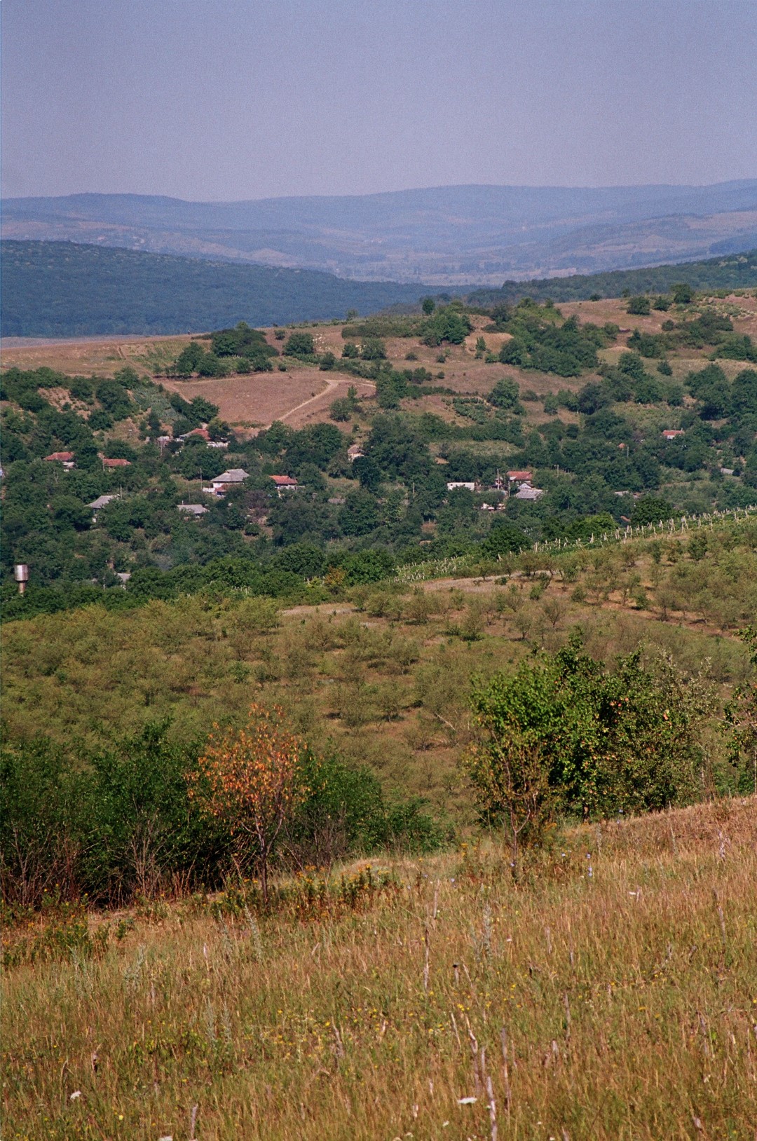 Valea Ichelului la Hârbovăț, Răciula, Frumoasa, Bravicea, Țigănești, Onești, Codreanca...
